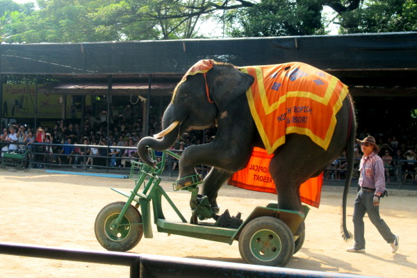 du lich thai lan gia re